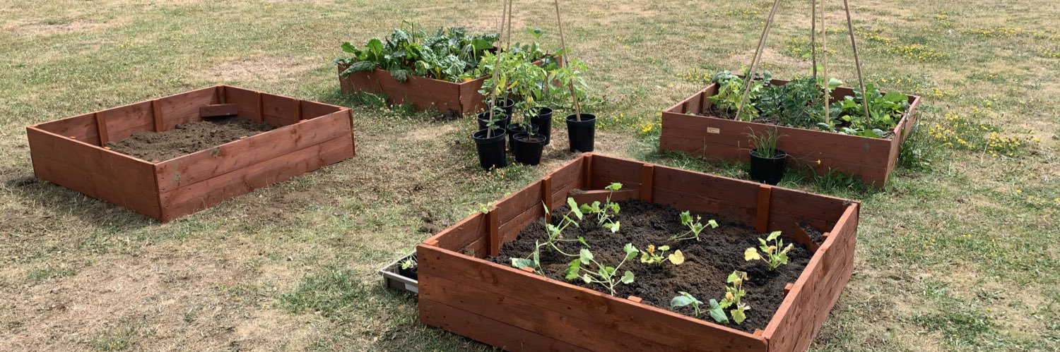 Springwest Blooms banner