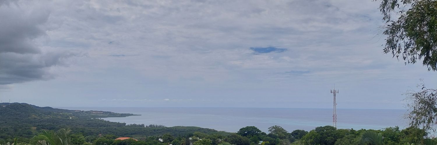 janchimonster's profile banner image