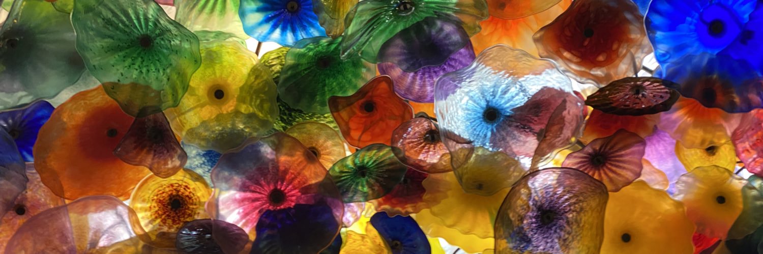 Anali Garza banner