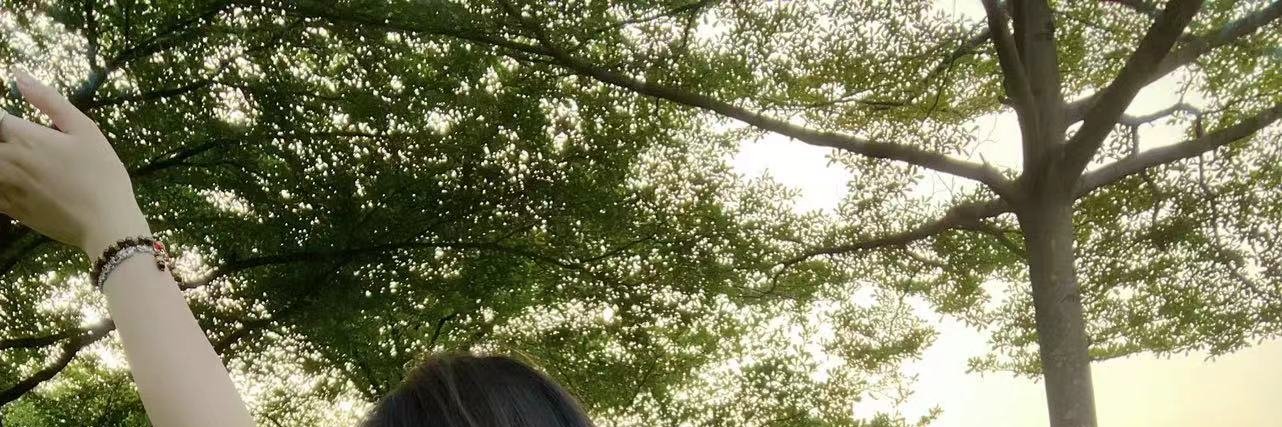 ding5180's profile banner image