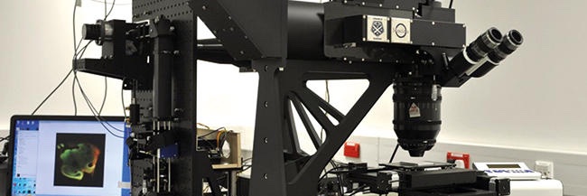 Centre for Biophotonics banner