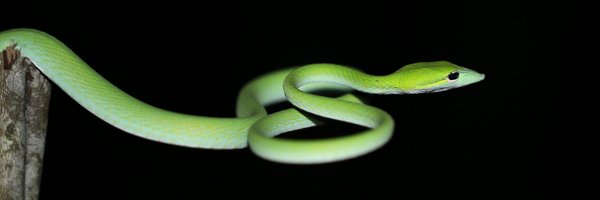 SBE_Research Profile Banner