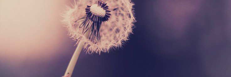 florancechung's profile banner image