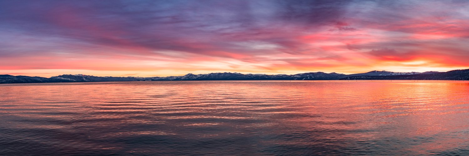 John Mersits | Mert banner