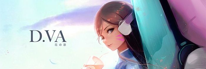 Shinfei banner