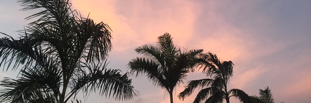 catiamaolo's profile banner image