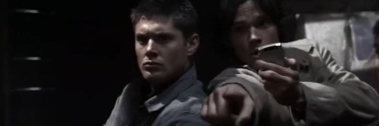 红烧白鸽鸽🕊️🎶 banner