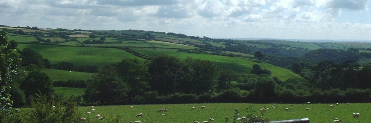 Paul Cornish banner