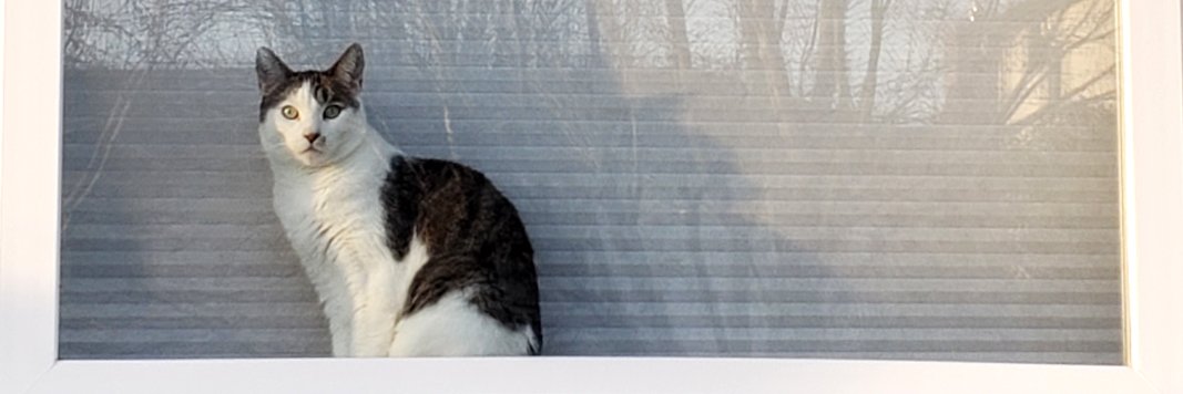 EvanNichols's profile banner image