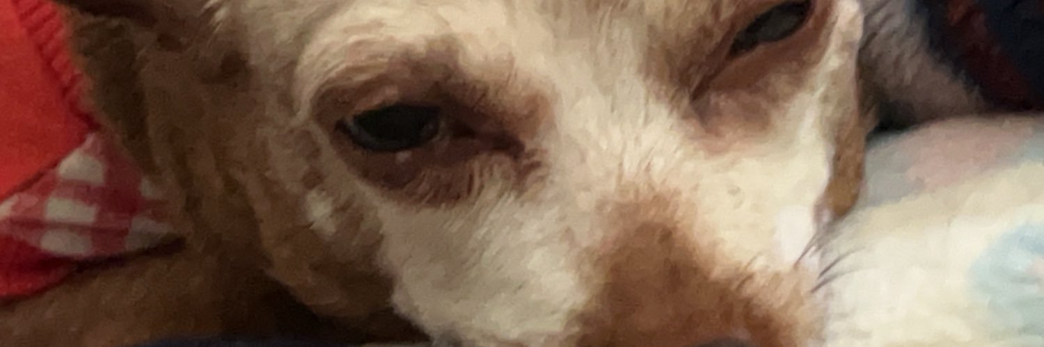 あーく banner