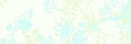 Altairade1's profile banner image