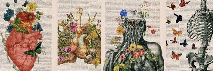 PathtoPMR's profile banner image