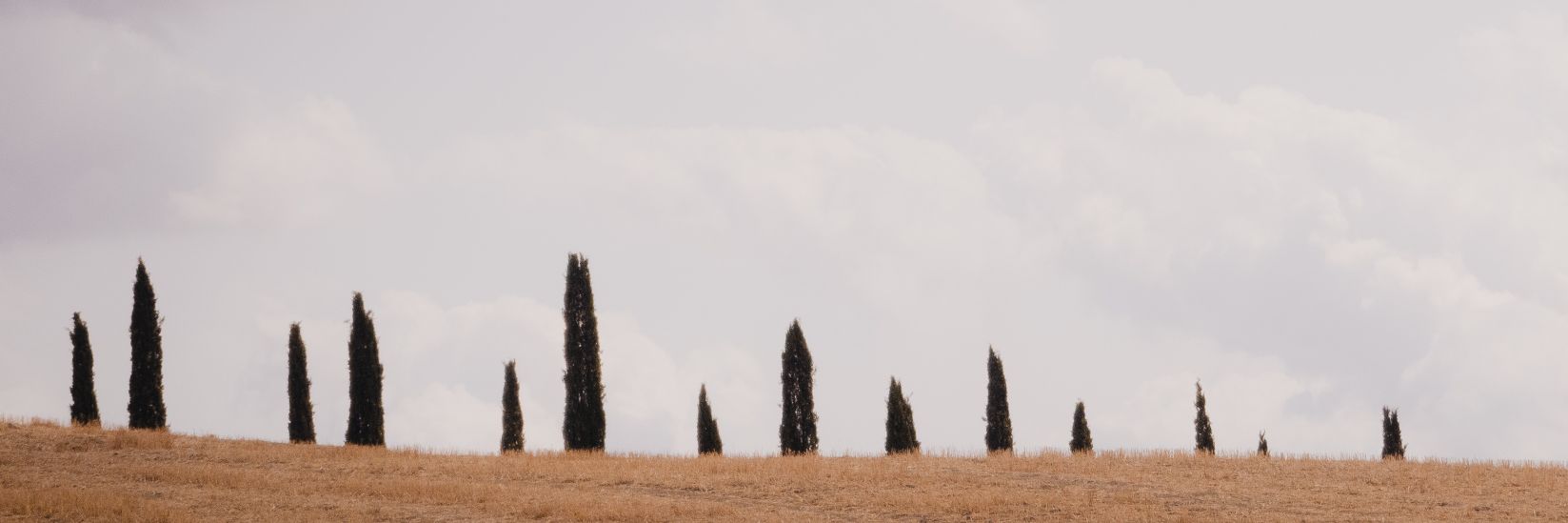 SolesRtw's profile banner image