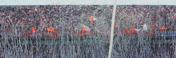 AnguloMartin Profile Banner