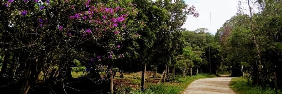 adrianabonaldi's profile banner image