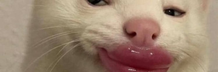 Chloee_19's profile banner image
