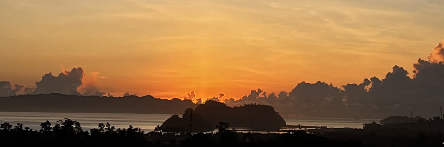 lavernuh's profile banner image