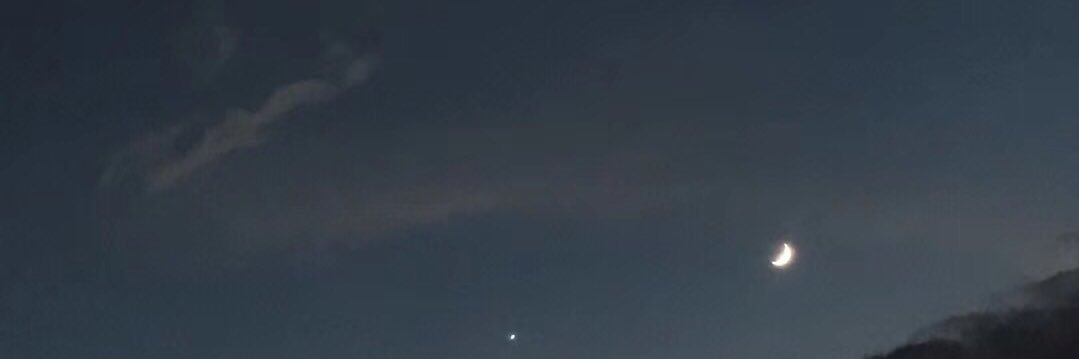731why's profile banner image