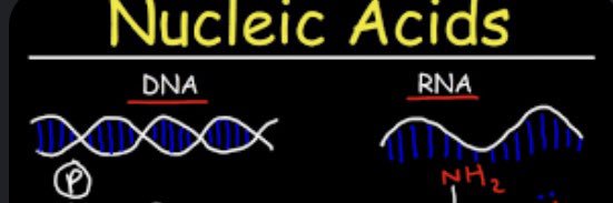 NucleicAcids7's profile banner image