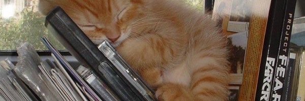 ectoslug Profile Banner