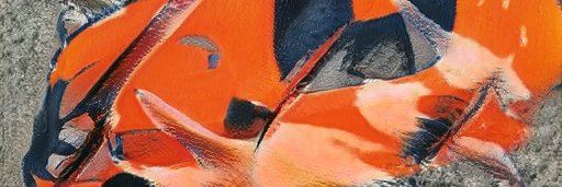LisaTow66501555's profile banner image