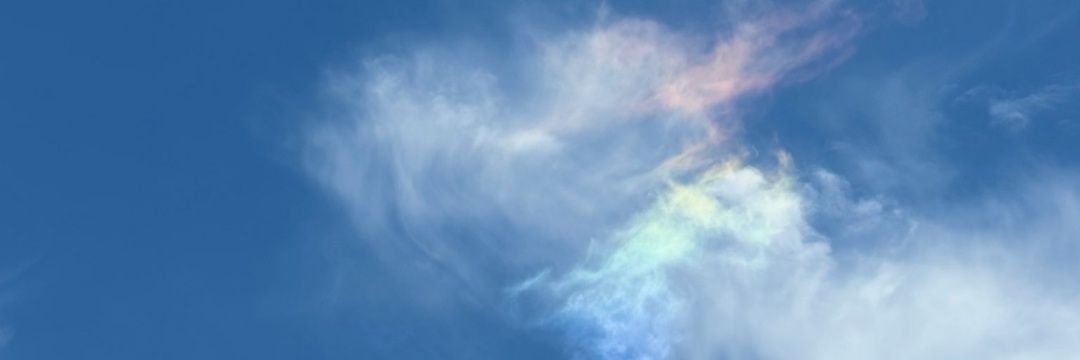 Pedro A banner