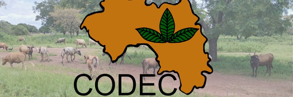 CODEC-Guinée banner