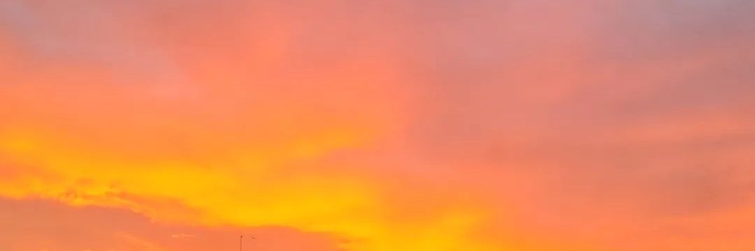 PaulineDurdilly's profile banner image