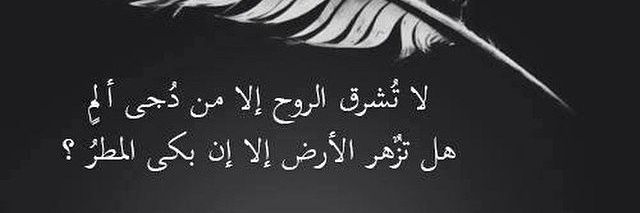 noor2010ize's profile banner image