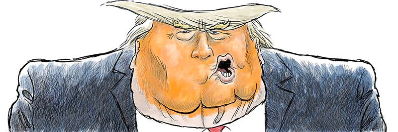 Nick Anderson/Political Cartoonist's banner