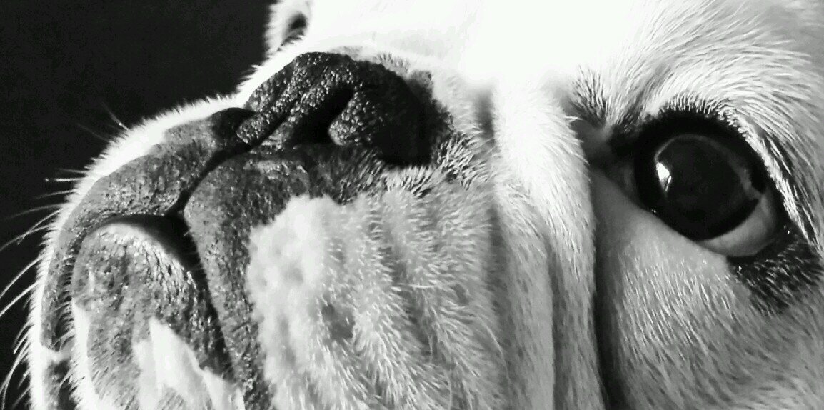 Diane_74's profile banner image