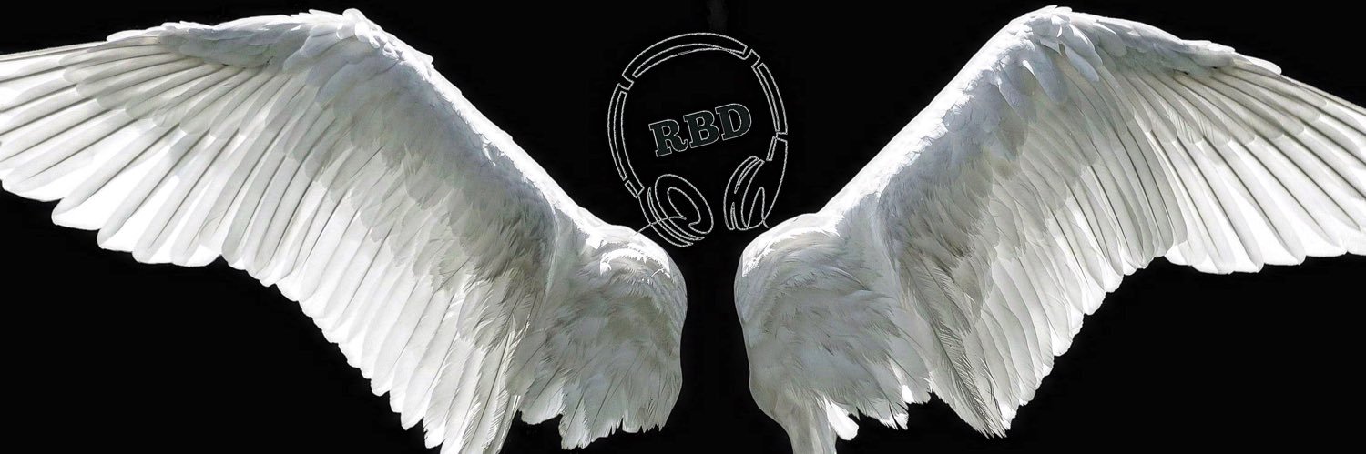 RbDMusicGroup's profile banner image