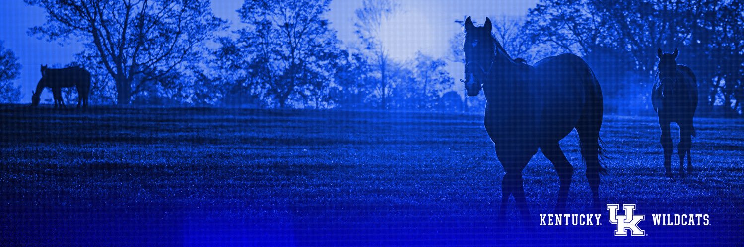 UK__Battman's profile banner image