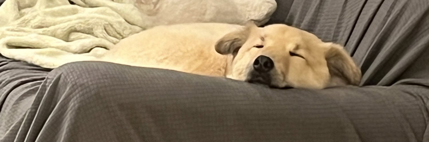 u_d_jg's profile banner image