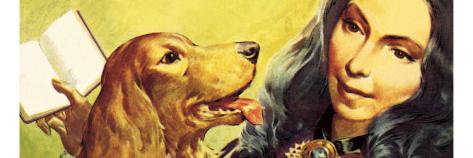 tammymacneil's profile banner image