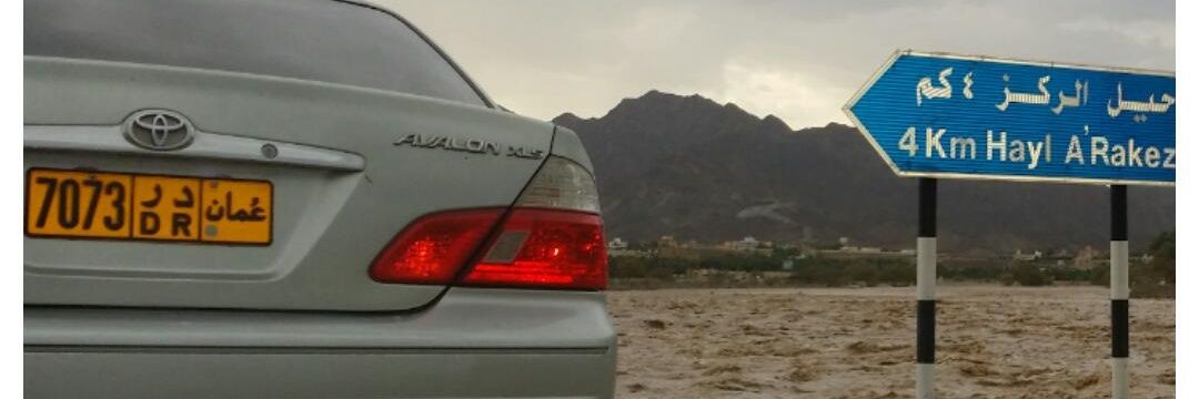 alesaii088's profile banner image