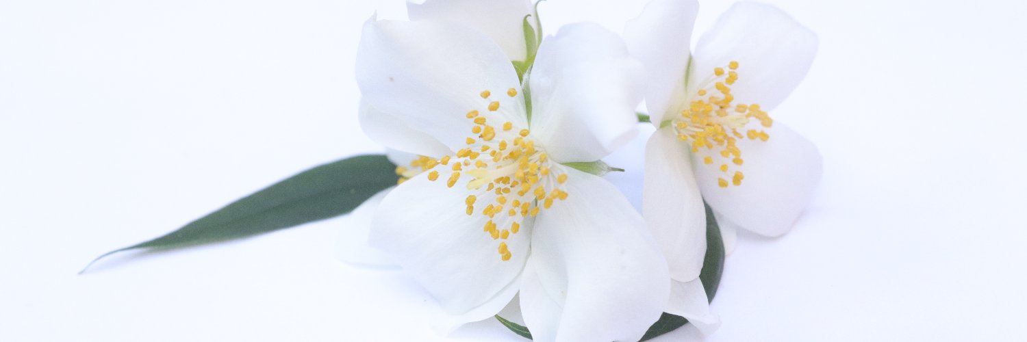 PaigeB329's profile banner image