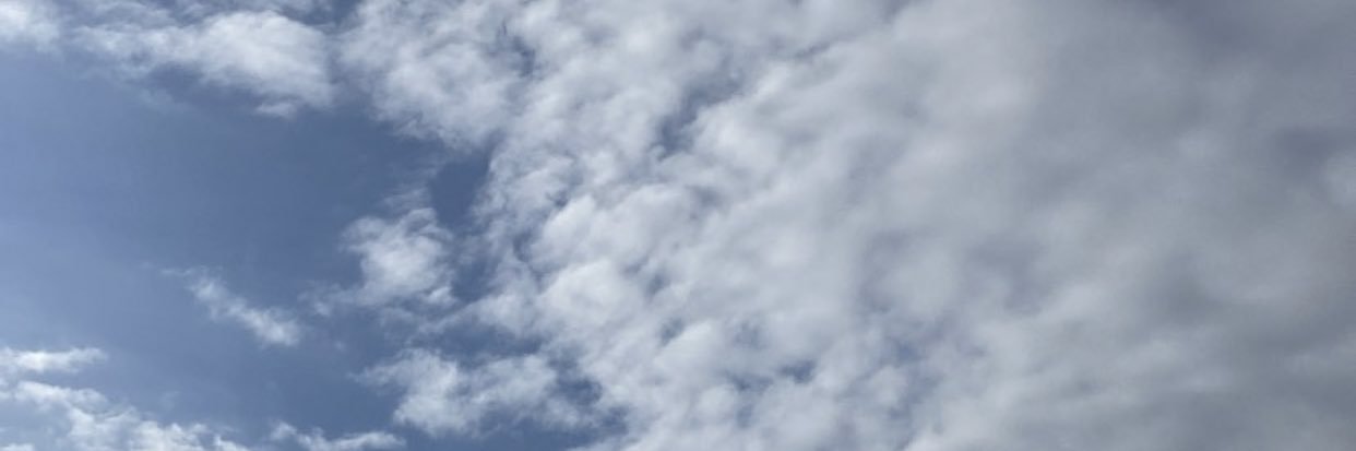 heydilann banner