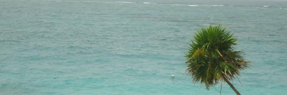vdemula24's profile banner image