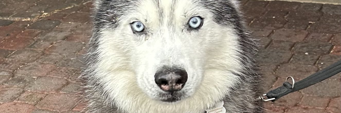 John2261's profile banner image