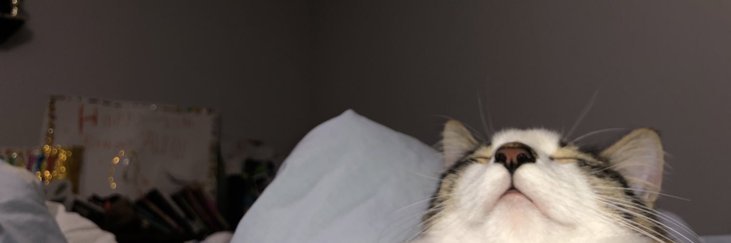 catnamedham's profile banner image