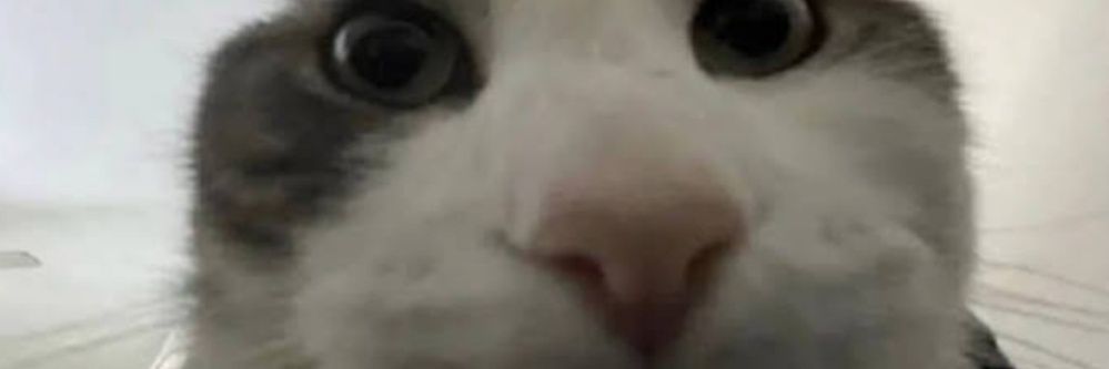 drumbovideos's profile banner image