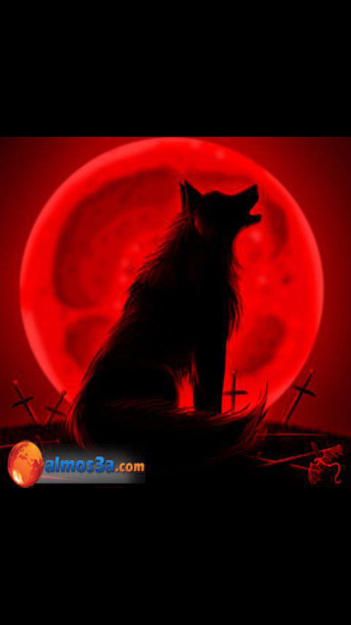 Homoud201276's profile banner image