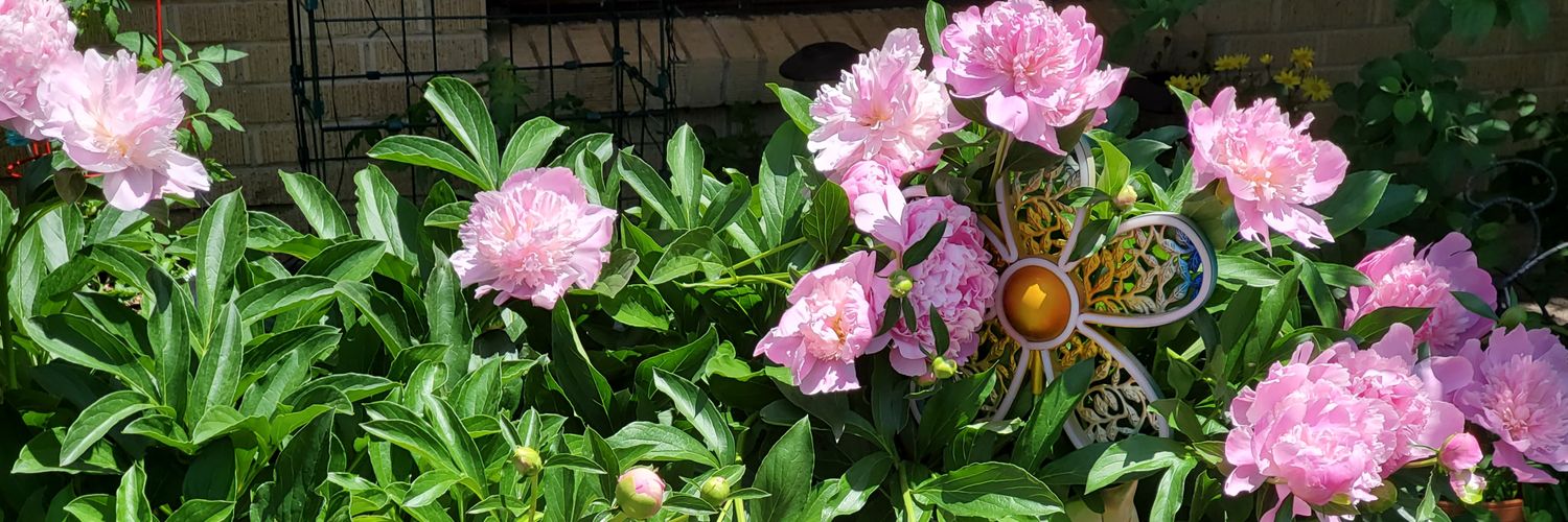 Terri from Colorado 💘💝💖🎾🎶🕯 banner