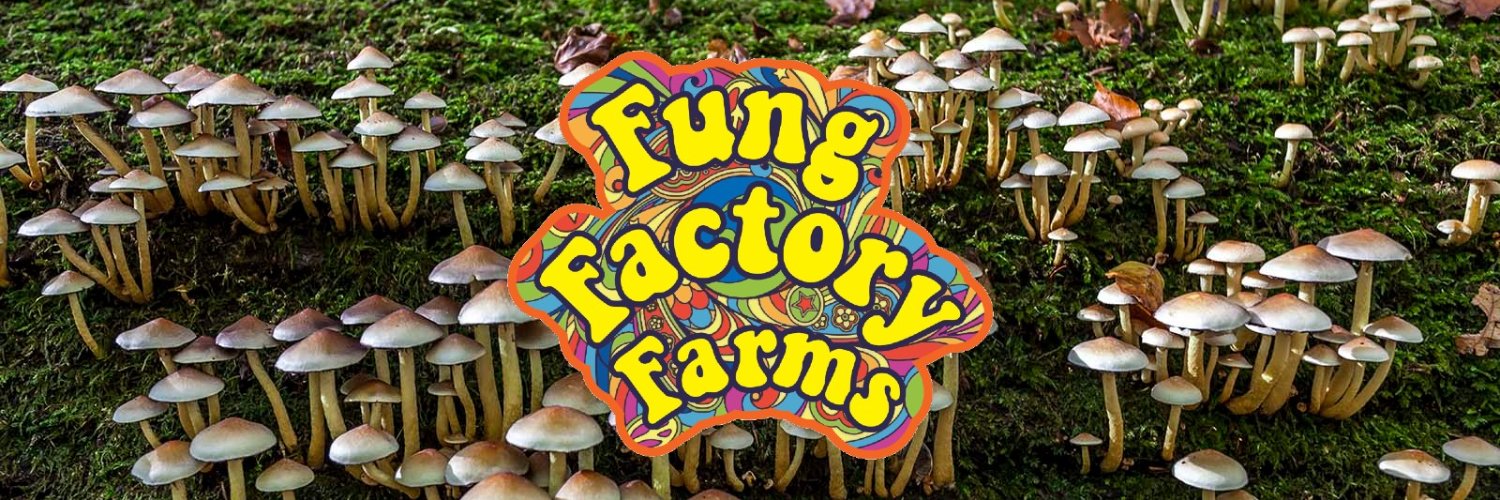 FungFactoryFarm's profile banner image