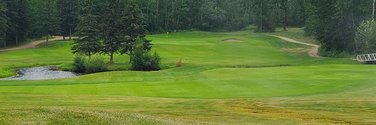 Stadnek 'Invitational' 'Golf' 'Tournament/Thingy' banner