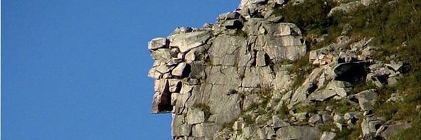 roche4nh Profile Banner