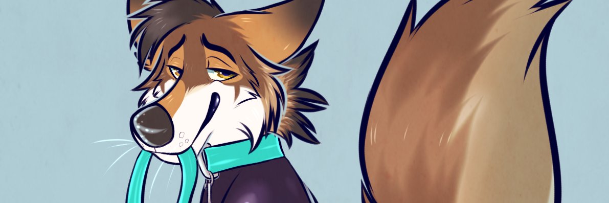 HansHuffing's profile banner image