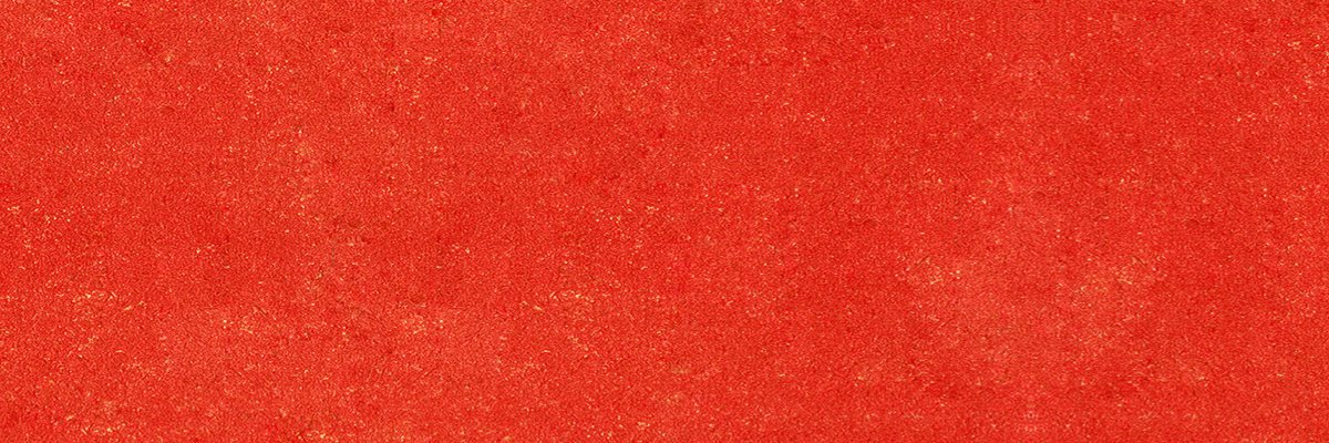 ArchieandMePod's profile banner image