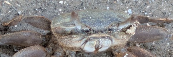 Goofygooberor Profile Banner